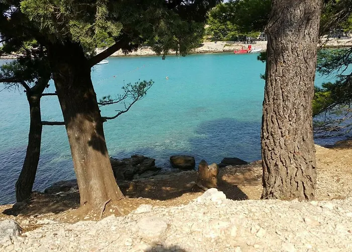 דירה Metka מורטר