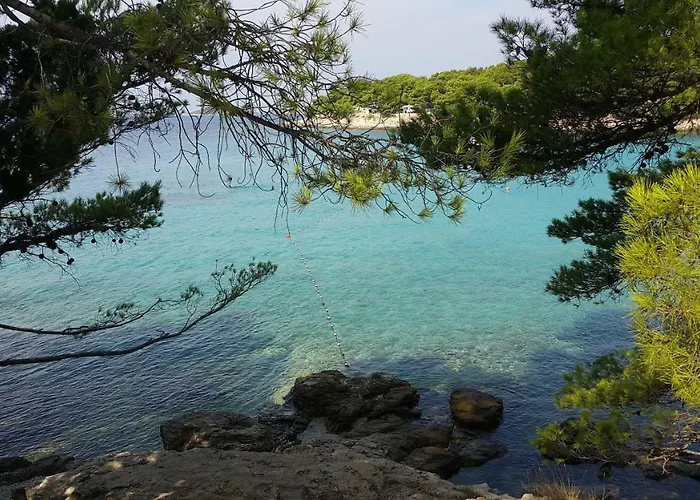 아파트 Metka 무르테르